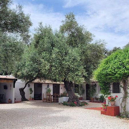 Casa Abanto Βίλα Ρόντα Εξωτερικό φωτογραφία