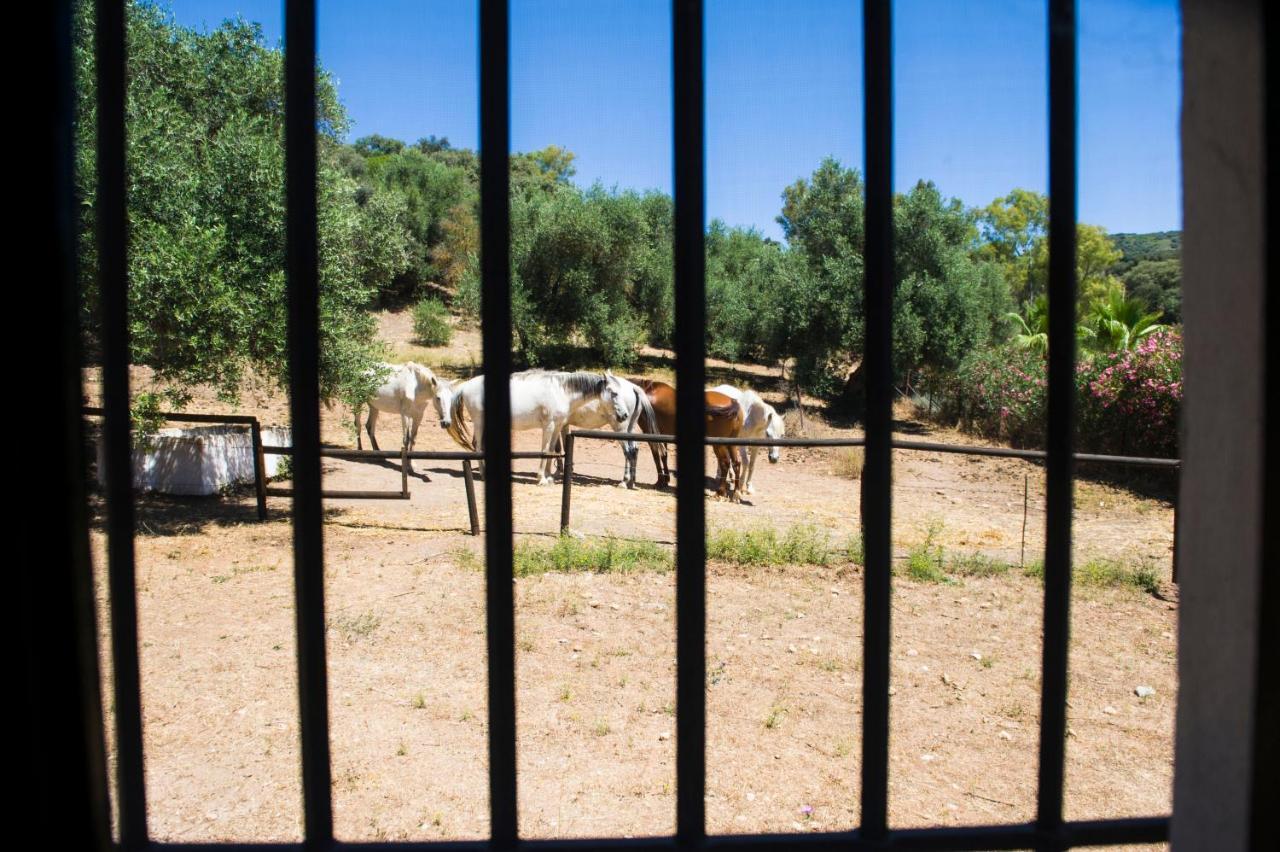 Casa Abanto Βίλα Ρόντα Εξωτερικό φωτογραφία