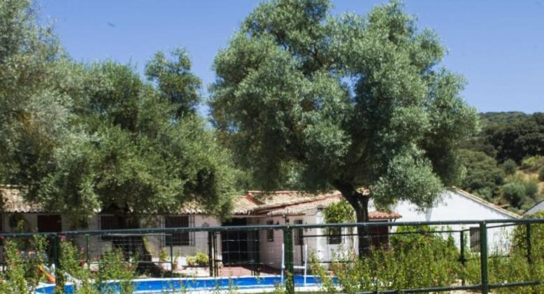 Casa Abanto Βίλα Ρόντα Εξωτερικό φωτογραφία