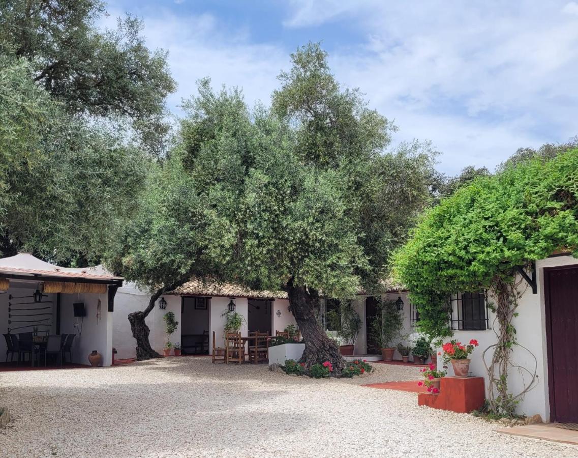 Casa Abanto Βίλα Ρόντα Εξωτερικό φωτογραφία