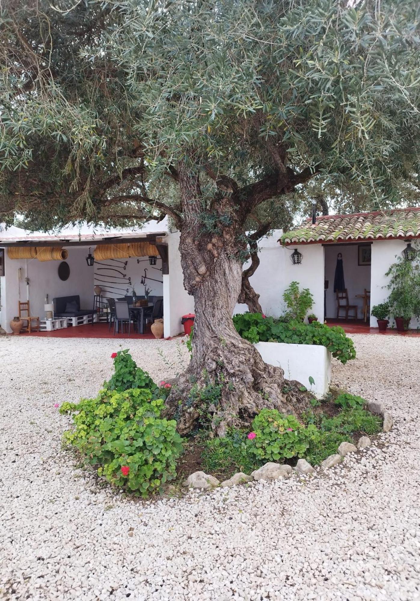 Casa Abanto Βίλα Ρόντα Εξωτερικό φωτογραφία